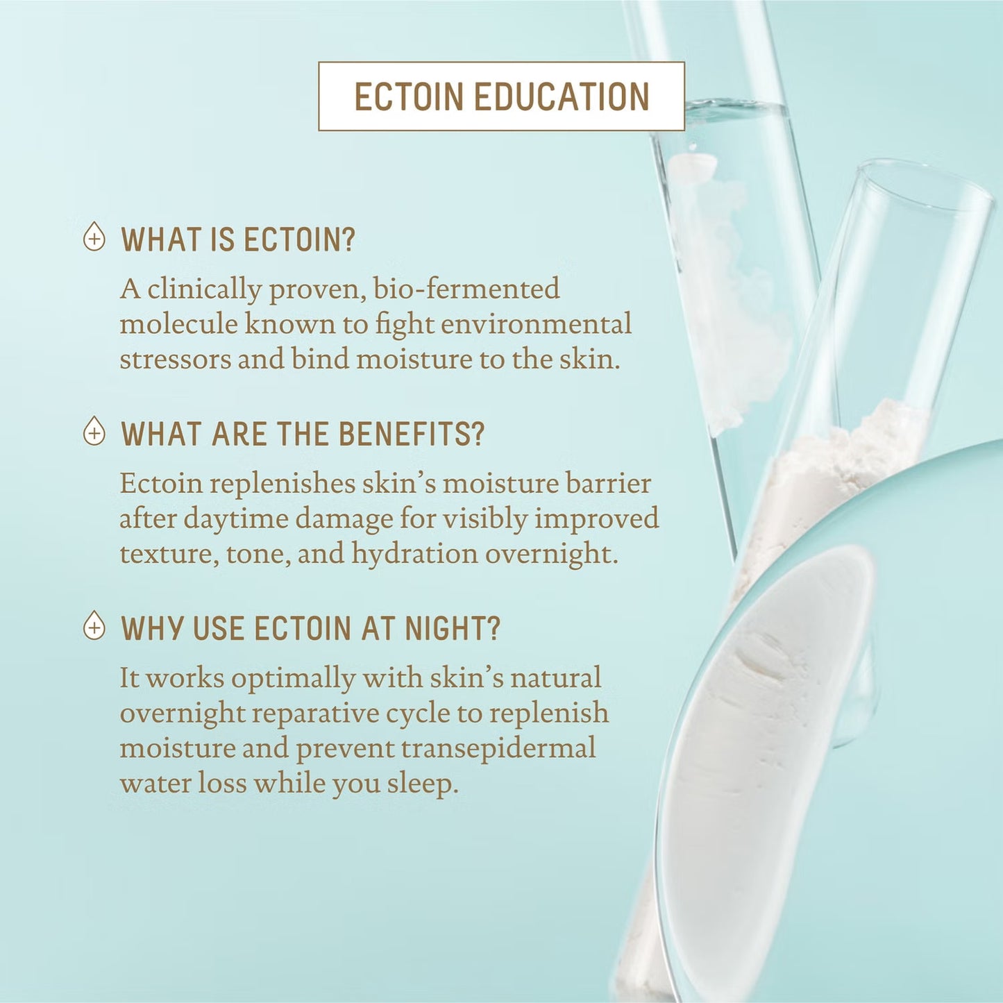 Biossance Squalane and Ectoin Overnight Rescue 50ml